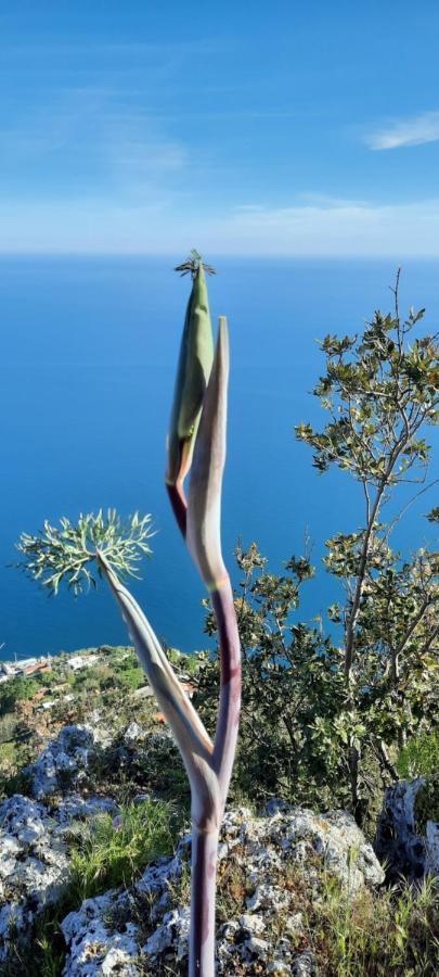 Appartamento Mare E Monti Pimonte Exterior foto