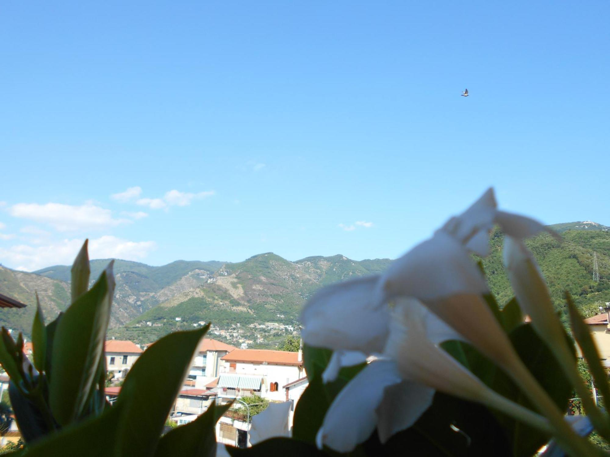 Appartamento Mare E Monti Pimonte Exterior foto